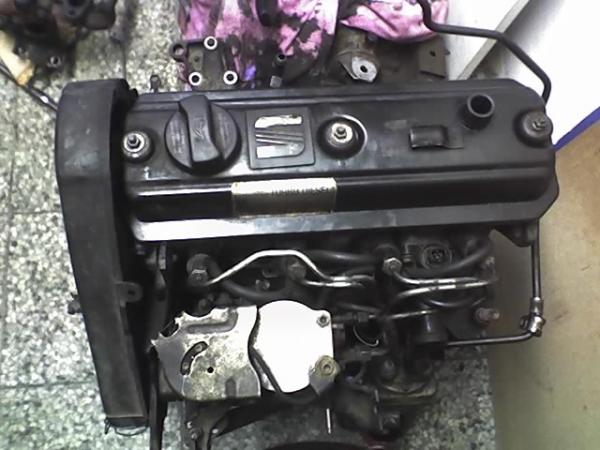 foto k příspěvku  od Magion