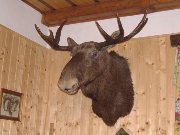 foto k příspěvku  od Squere