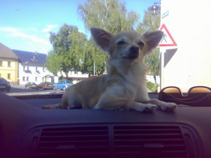 foto k příspěvku  od BekyCar