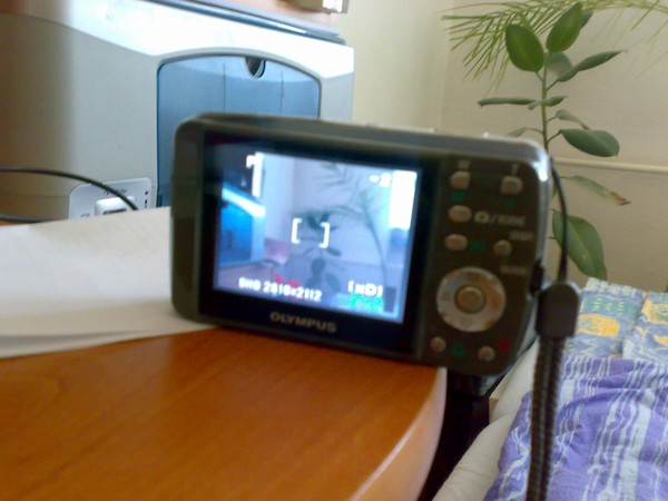 foto k příspěvku  od Fipo