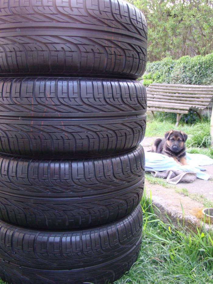 foto k příspěvku  od TheTimo