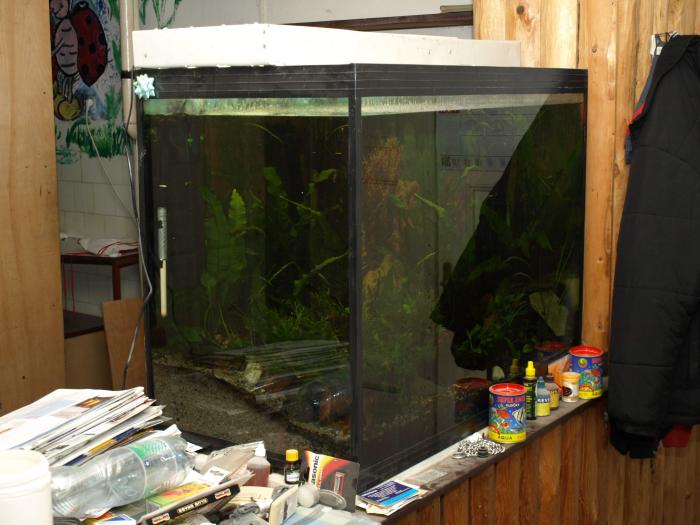 foto k příspěvku  od ACEMajky