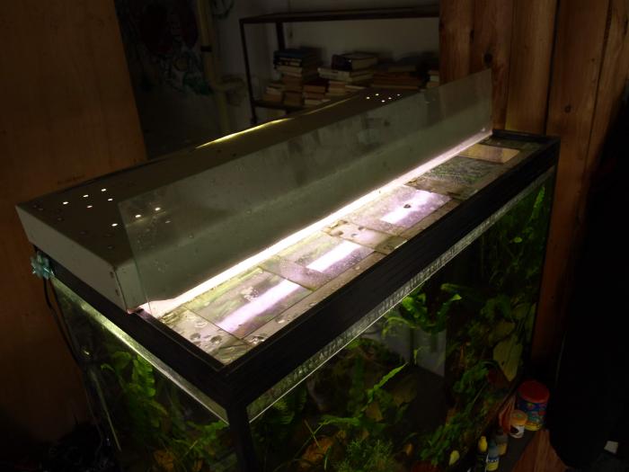 foto k příspěvku  od ACEMajky