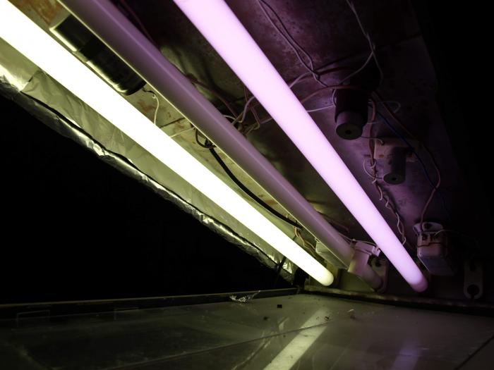 foto k příspěvku  od ACEMajky