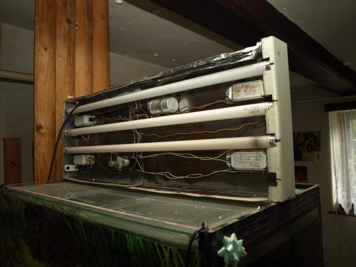 foto k příspěvku  od ACEMajky