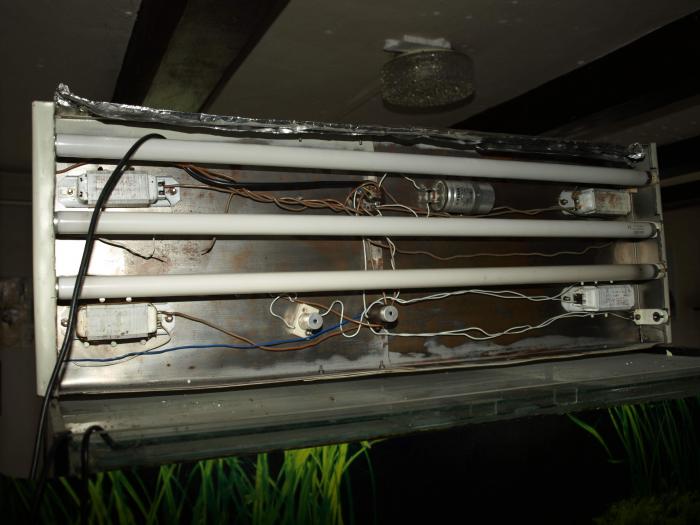 foto k příspěvku  od ACEMajky