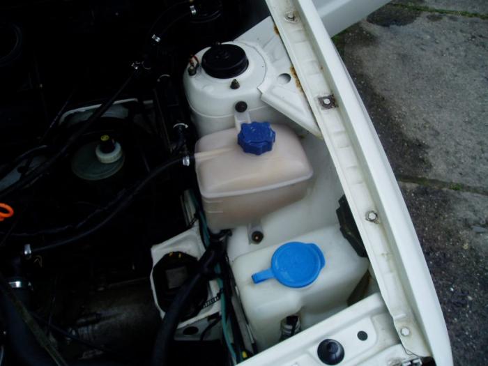 foto k příspěvku  od Antonio