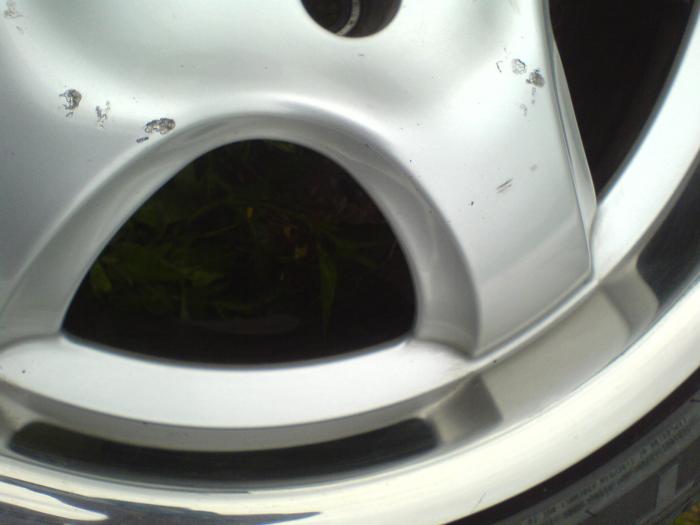 foto k příspěvku  od Rali