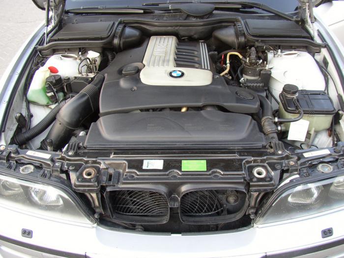 foto k příspěvku  od Netsitte