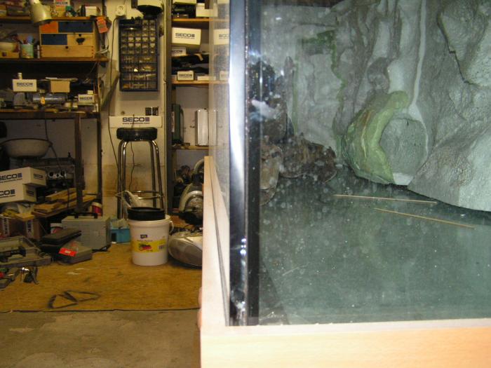 foto k příspěvku  od Zephyr