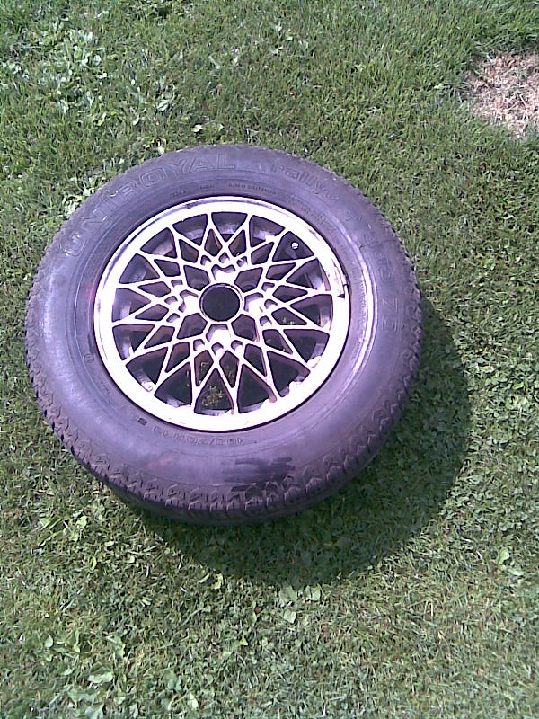 foto k příspěvku  od Antonio