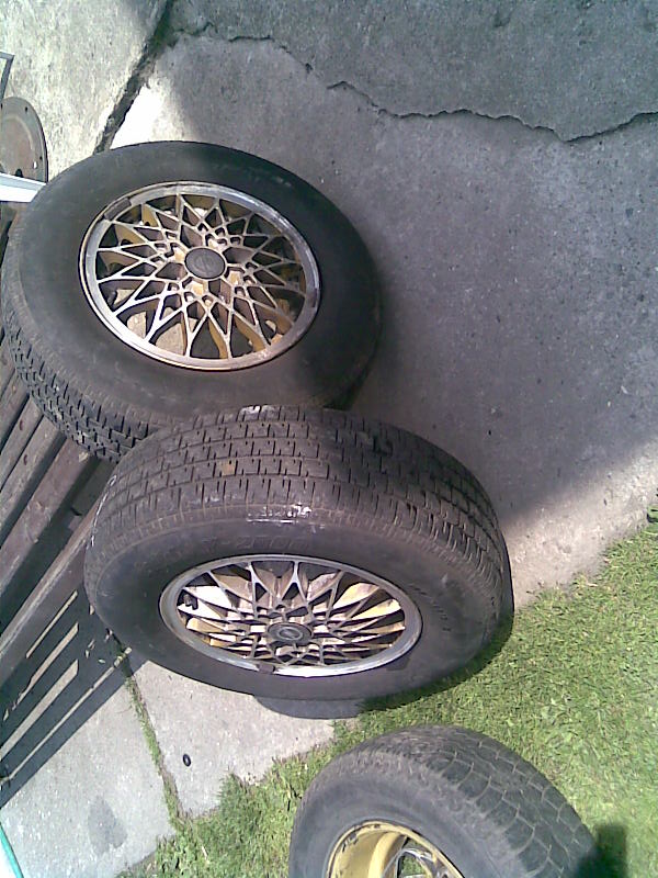 foto k příspěvku  od Antonio