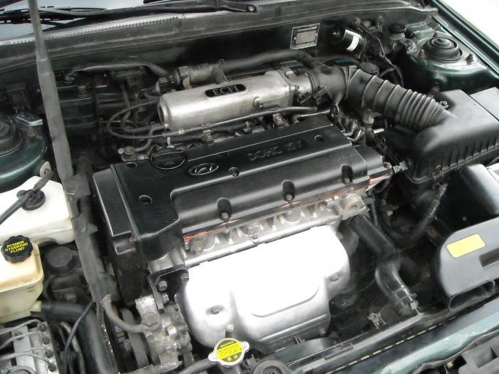 foto k příspěvku  od Rajny