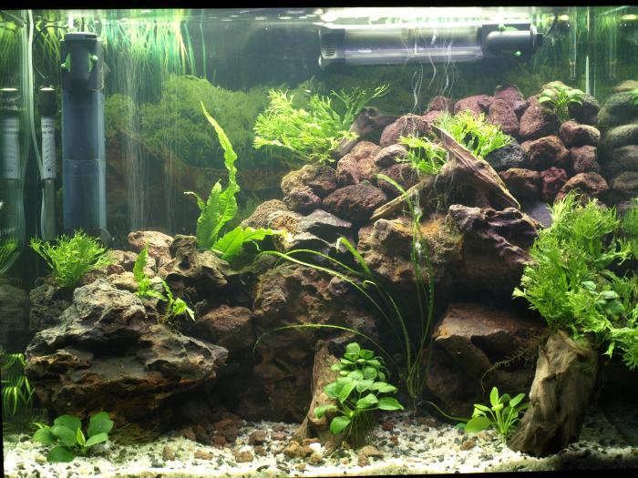 foto k příspěvku  od ACEMajky