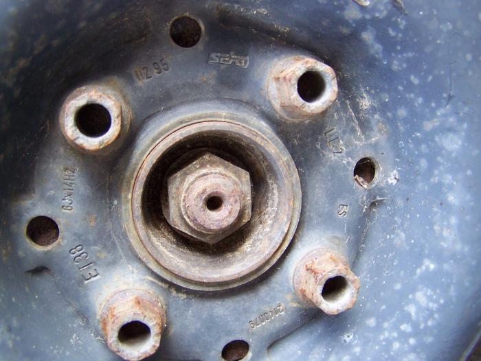 foto k příspěvku  od hoff