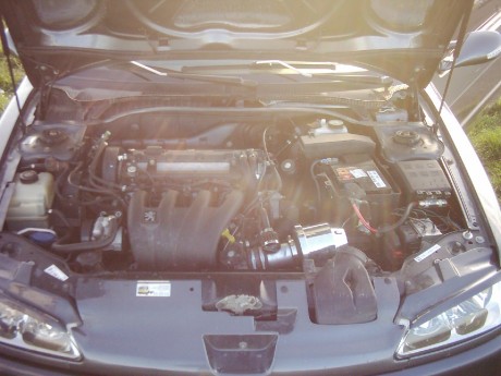 foto k příspěvku  od pipik_