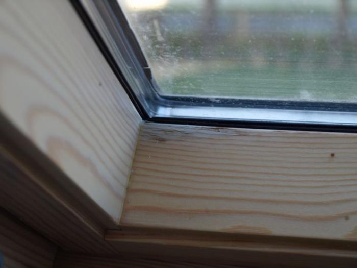 foto k příspěvku  od ACEMajky