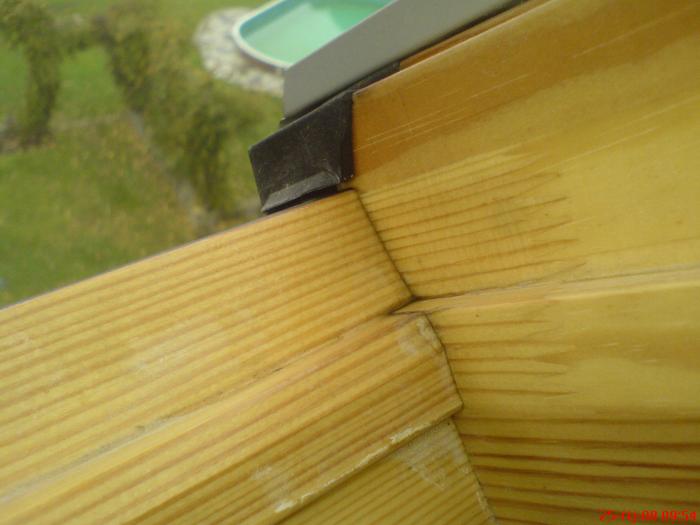 foto k příspěvku  od ACEMajky