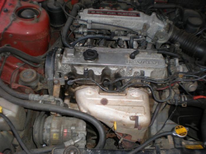 foto k příspěvku  od Briann