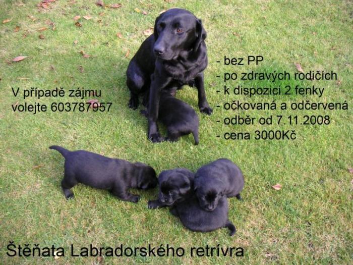 foto k příspěvku  od TheTimo