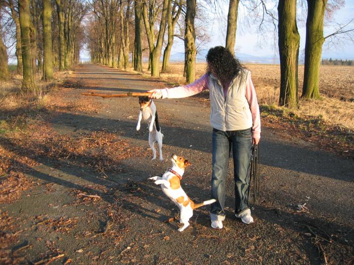 foto k příspěvku  od AUTOHIFICENTRUM Liberec
