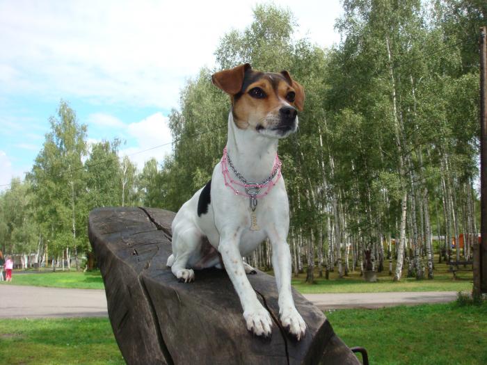 foto k příspěvku  od AUTOHIFICENTRUM Liberec