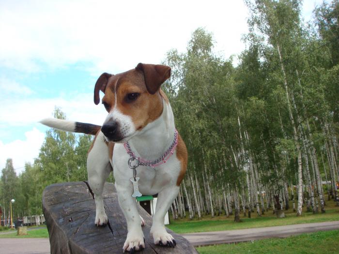 foto k příspěvku  od AUTOHIFICENTRUM Liberec