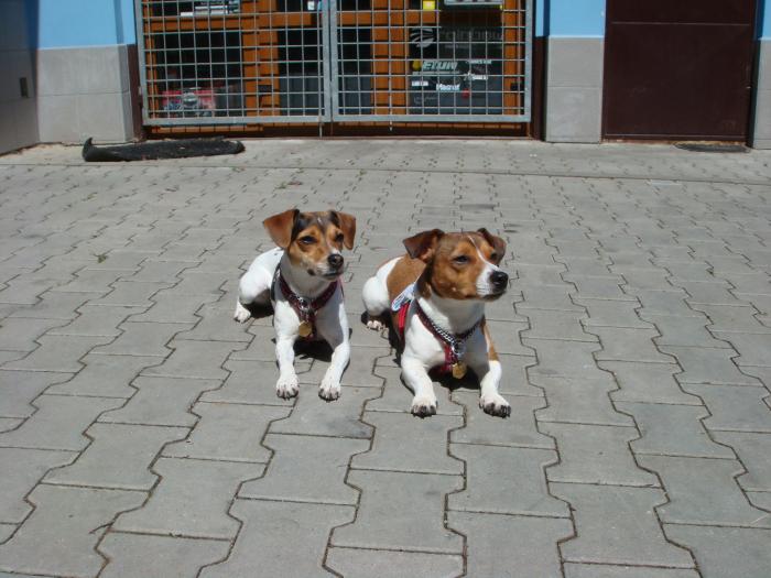foto k příspěvku  od AUTOHIFICENTRUM Liberec