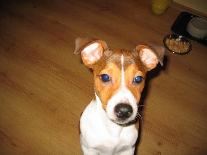 foto k příspěvku  od AUTOHIFICENTRUM Liberec