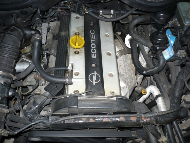 foto k příspěvku  od pazoutecek