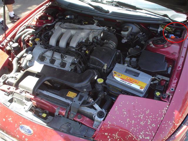 foto k příspěvku  od Thullo