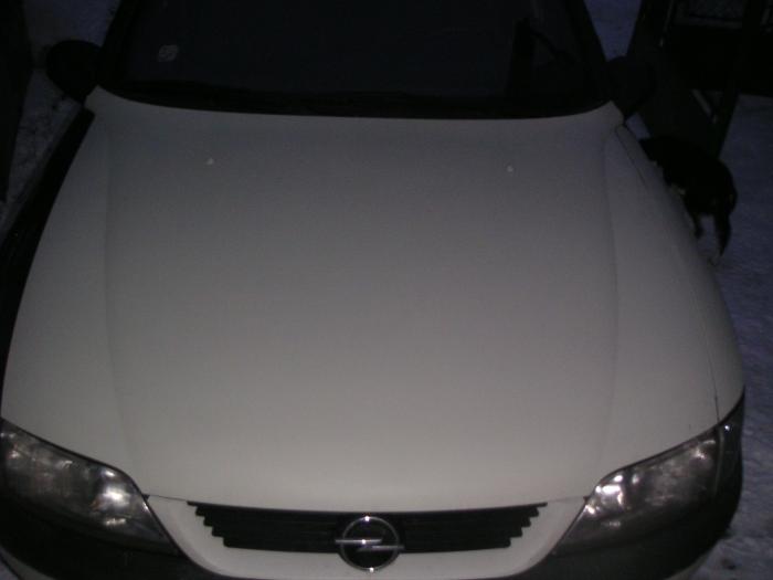 foto k příspěvku  od Lufas