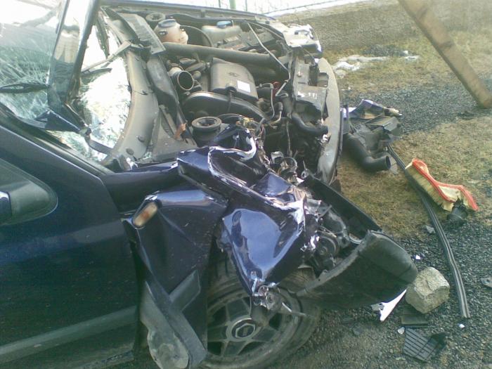 foto k příspěvku  od cippis