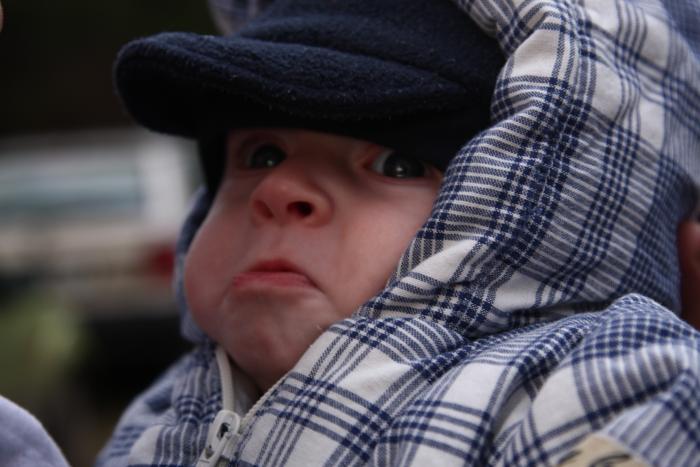 foto k příspěvku  od Q
