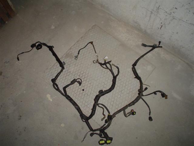 foto k příspěvku  od Thullo