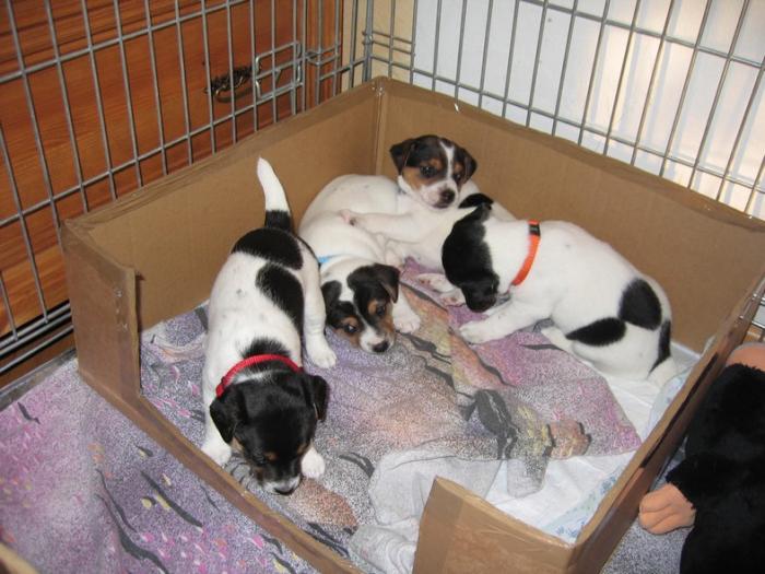 foto k příspěvku  od AUTOHIFICENTRUM Liberec