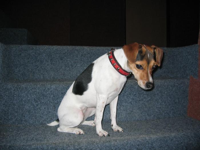 foto k příspěvku  od AUTOHIFICENTRUM Liberec