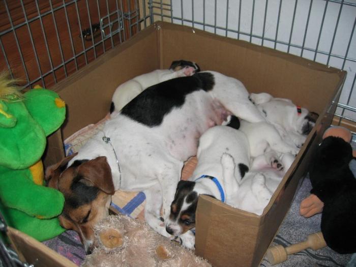 foto k příspěvku  od AUTOHIFICENTRUM Liberec