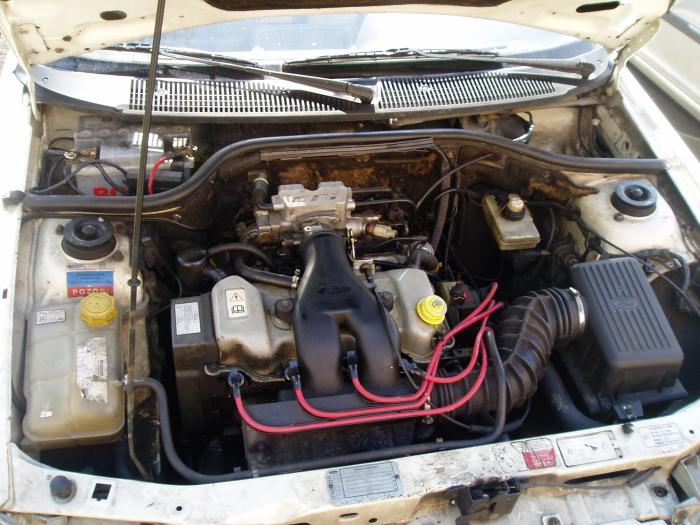 foto k příspěvku  od party_boy