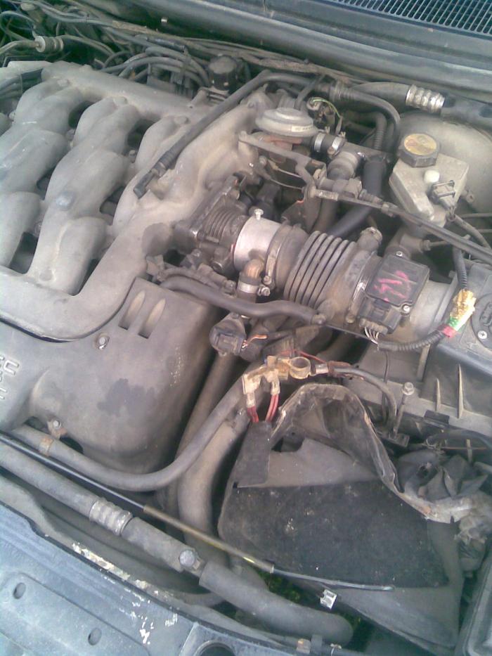 foto k příspěvku  od jerzy05