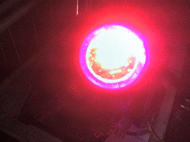 foto k příspěvku  od thepyroman