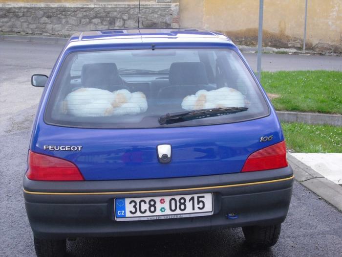 foto k příspěvku  od M.a.R.i