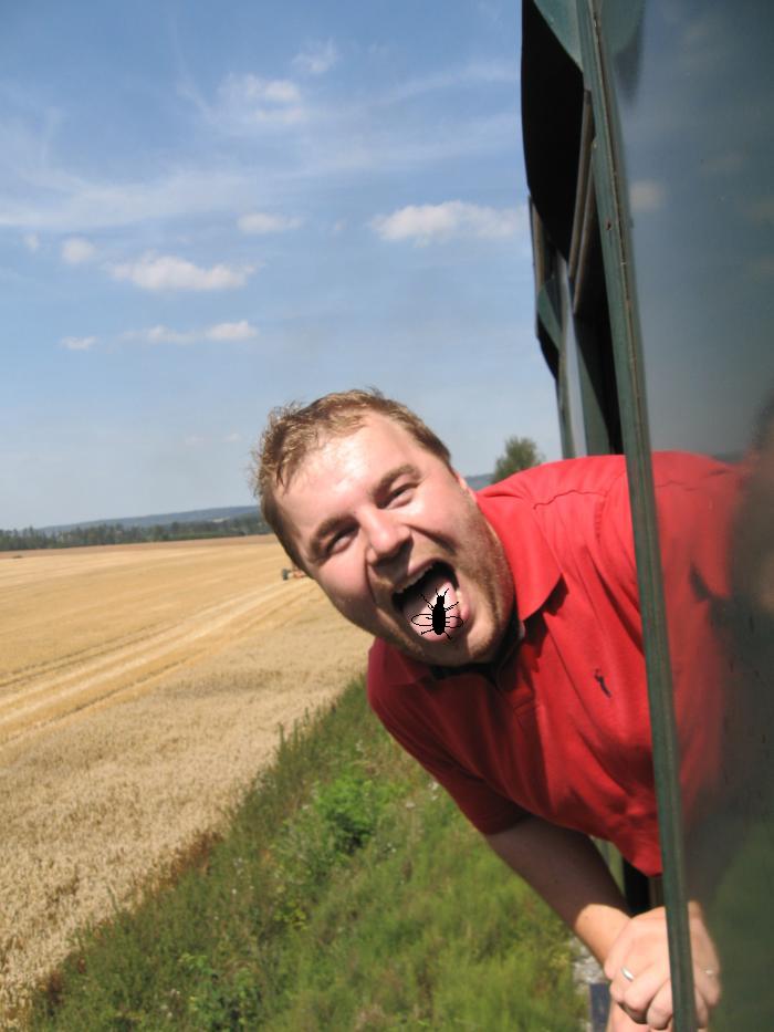 foto k příspěvku  od Bucci