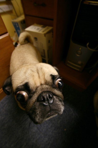 foto k příspěvku  od TROY