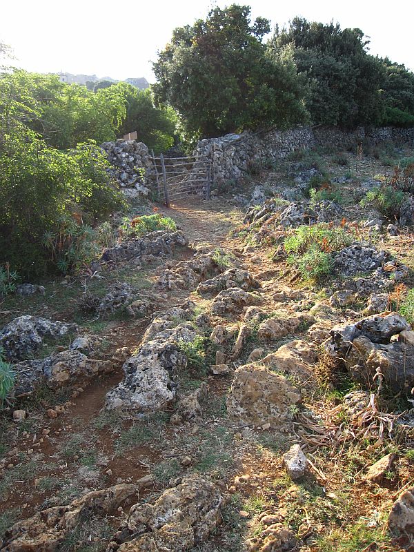 foto k příspěvku  od Crimson