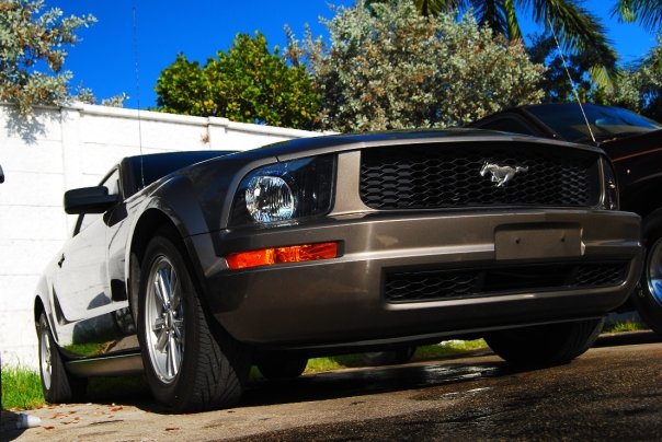 foto k příspěvku  od MaxxT