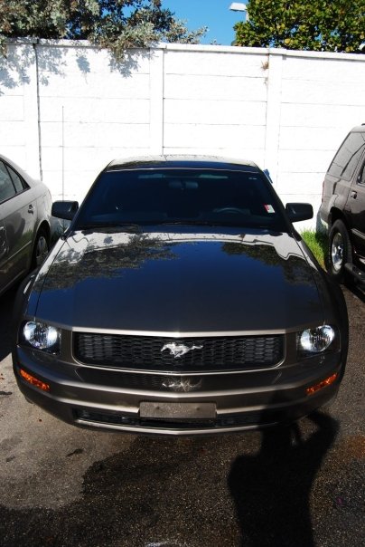 foto k příspěvku  od MaxxT