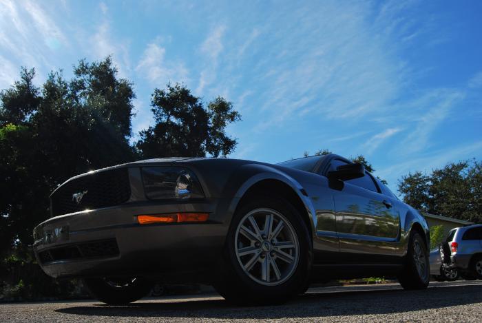 foto k příspěvku  od MaxxT