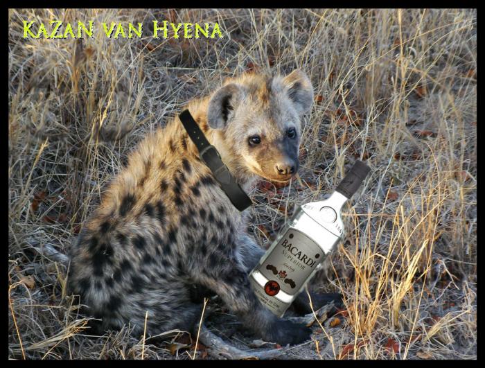 foto k příspěvku  od KaZaN