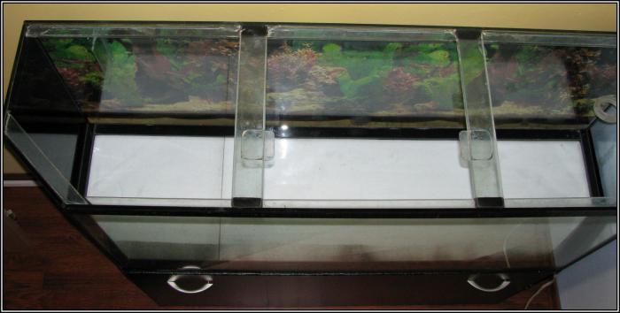 foto k příspěvku  od Kapka